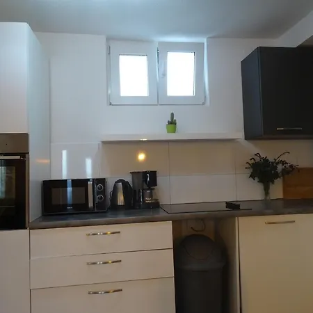 Nikola Поседарье